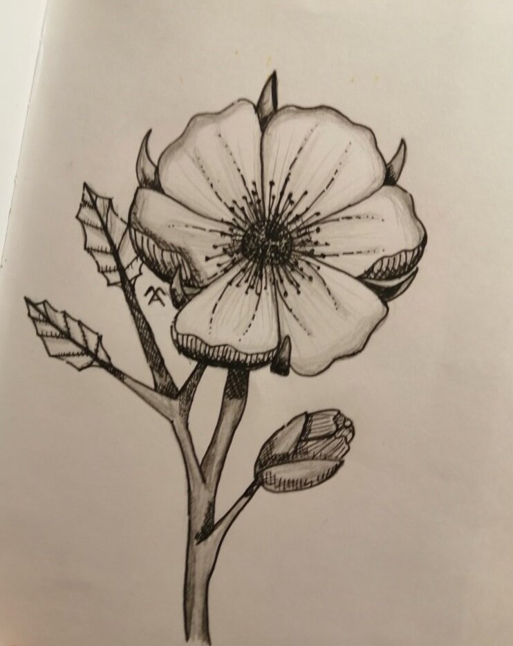 Цветок, нарисованный дочкой