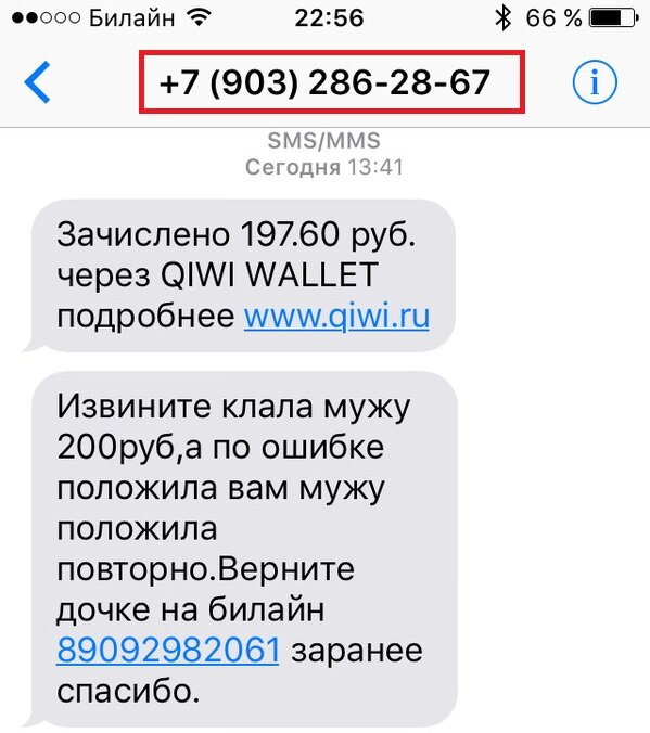 Суммы могут существенно различаться от 100-200 руб. до нескольких тысяч руб., всё зависит от  тактики мошенников