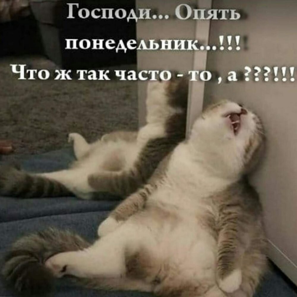 Взято с Гугл картинки