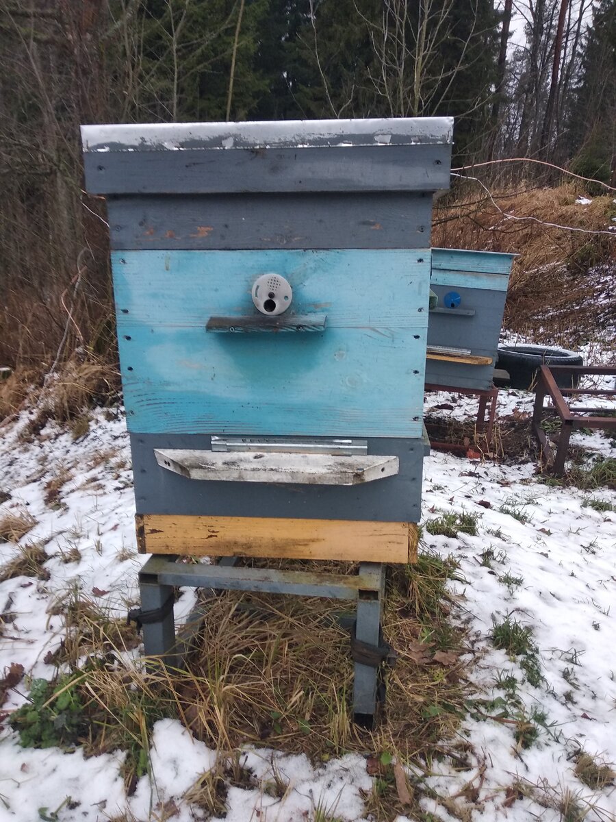 Дно увеличено. Леток перенесен выше. 