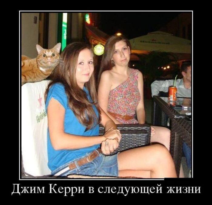 Взято из открытых источников.
