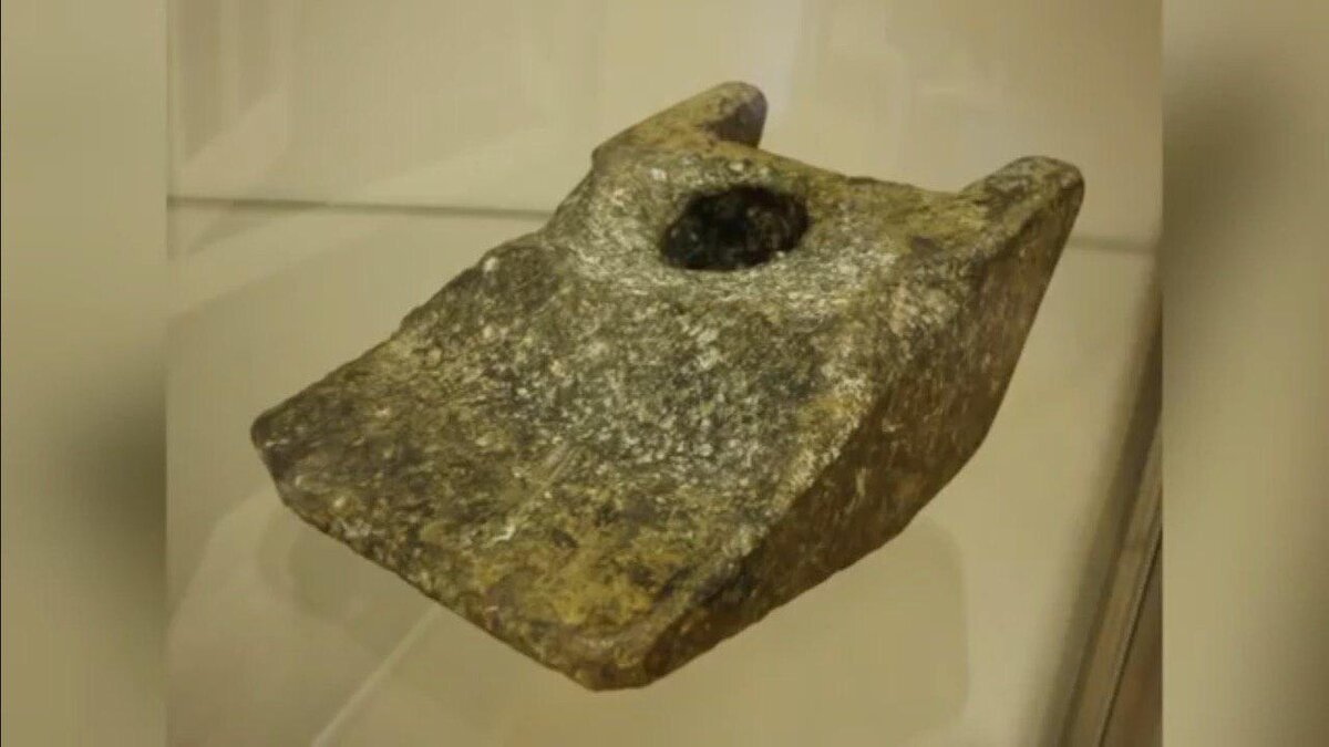 Доказательства существования иных разумных рас!