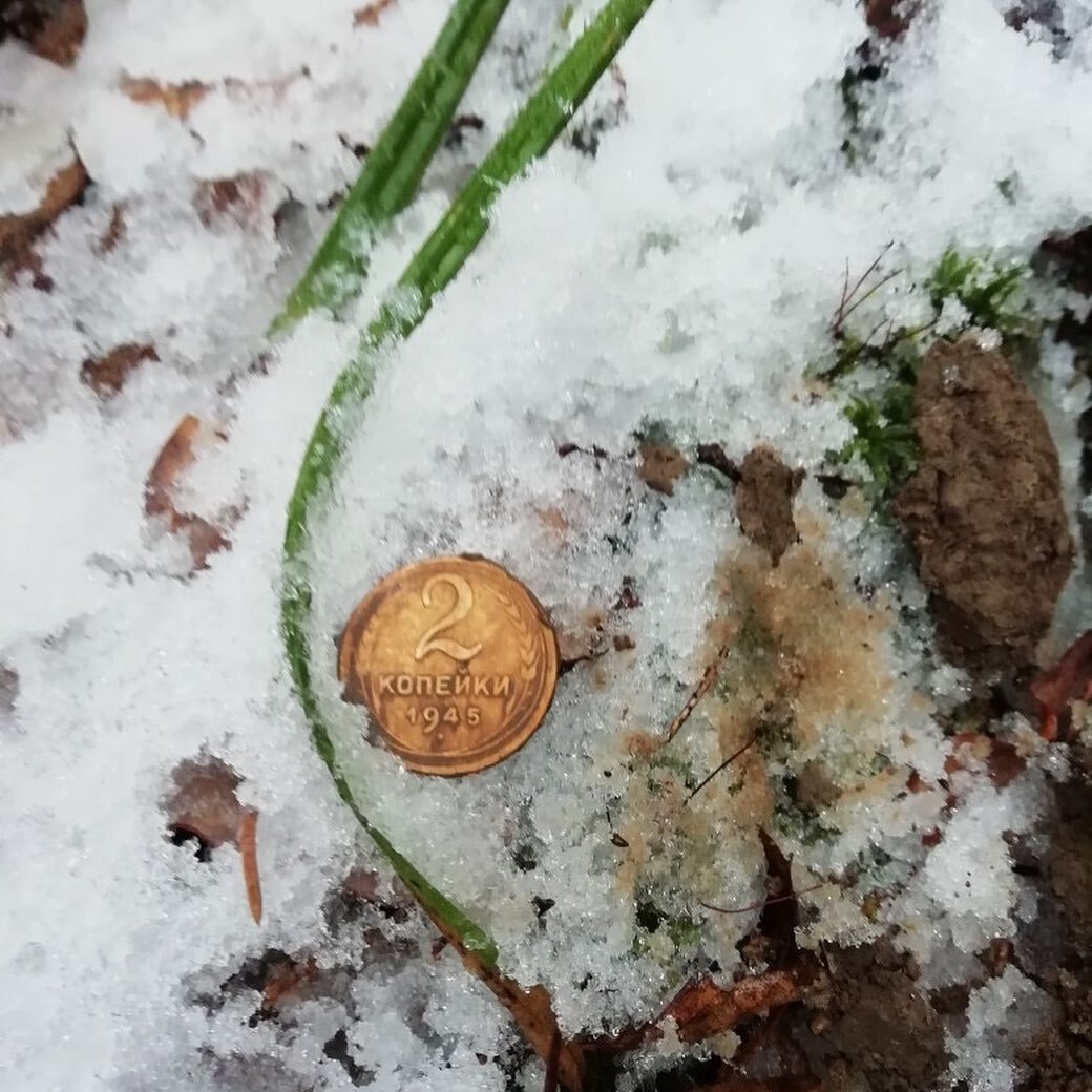 Сто копеек на рубль не сменяешь. Фото: mdregion.ru