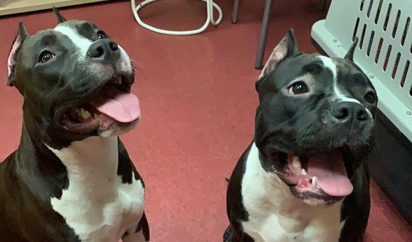 Фото: Кристина Преснякова