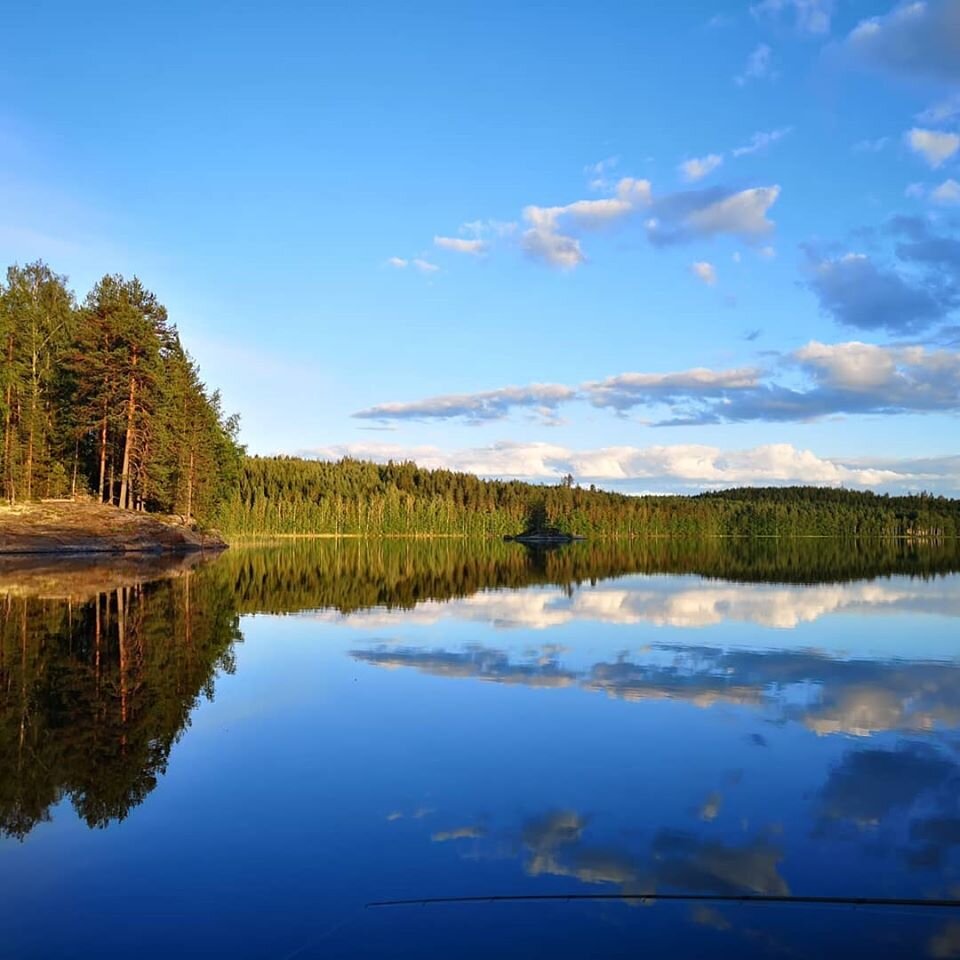 Финское озеро 5 букв. Финляндия озеро Паасселкя. Финские озера Финляндия. Лесное озеро в Финляндии. Пересыхающие озера Финляндии.