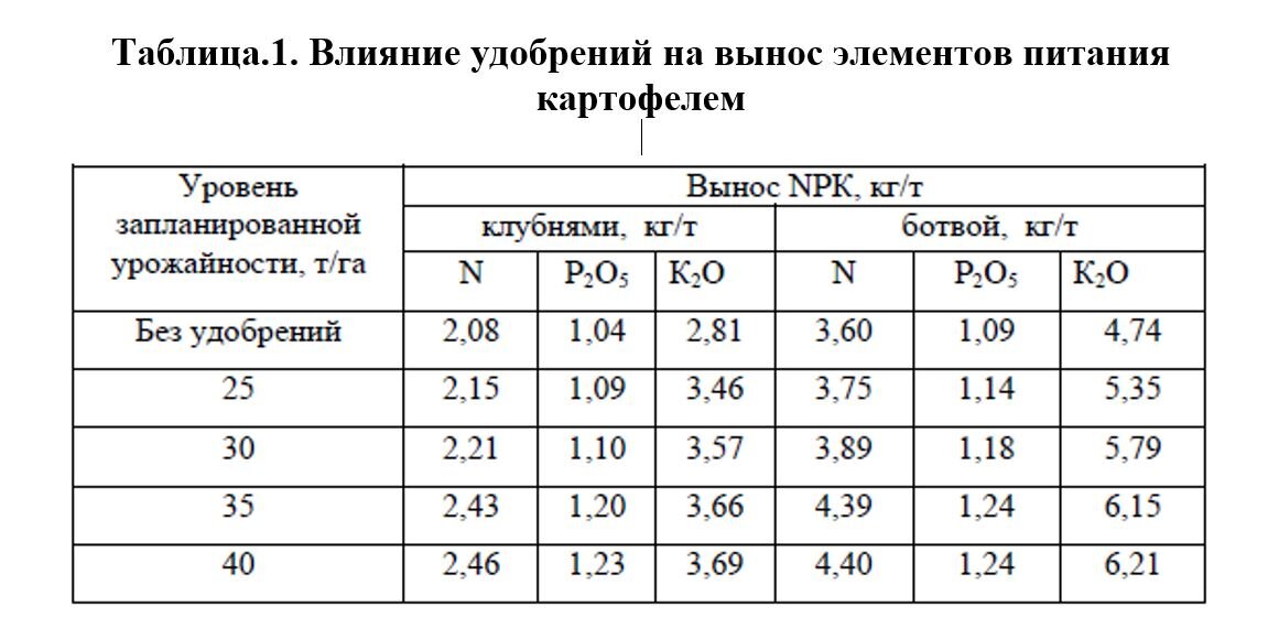 Основные компоненты НПК
