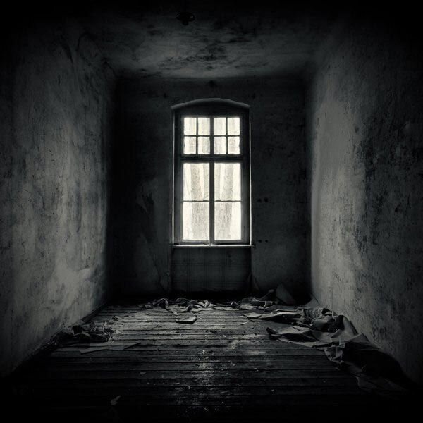 Фото взято из открытого источника