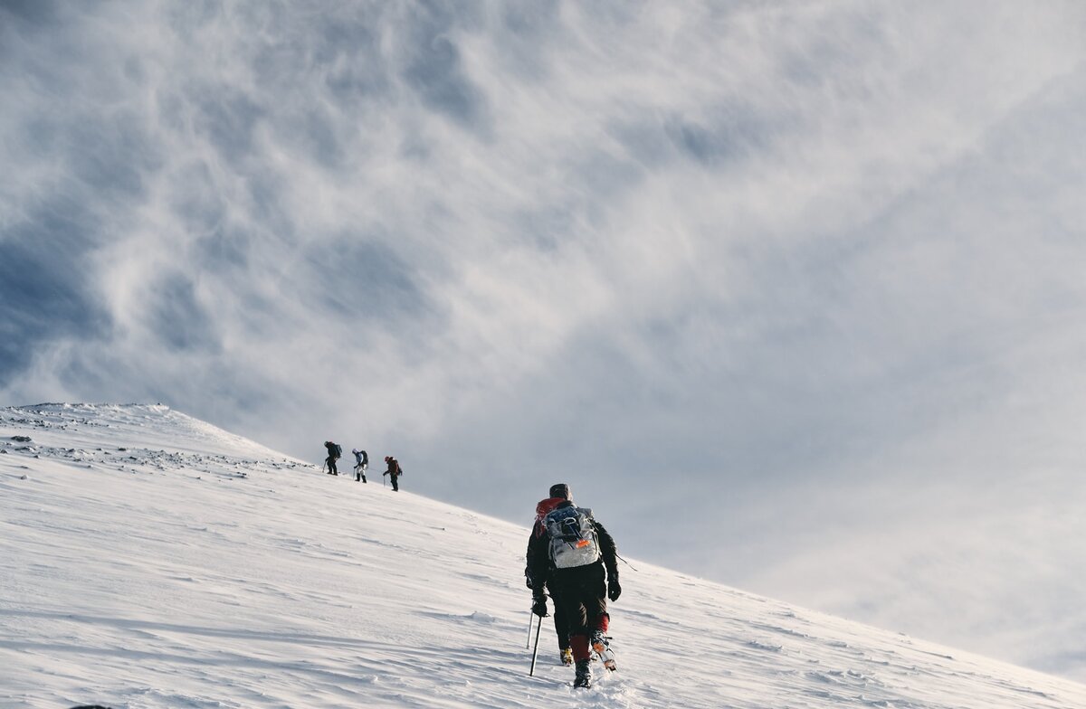 Фото из банка данных unsplash.com.