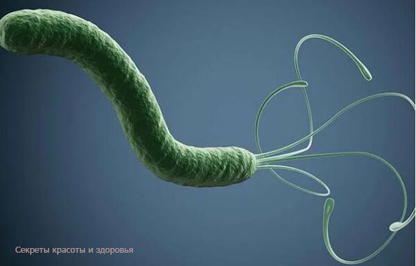 Источник: Гугл Картинки