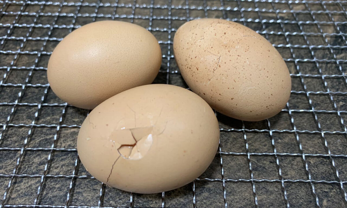 Яйцо трещина. Яйца в пароварке. Яйцо трескается. Три яйца. Яйцо с трещиной.