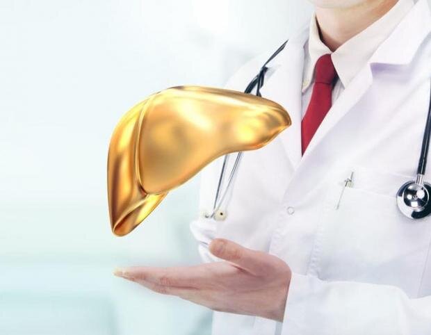 Здоровье печени - это важнейшая составляющая для нормальной работы всего организма.