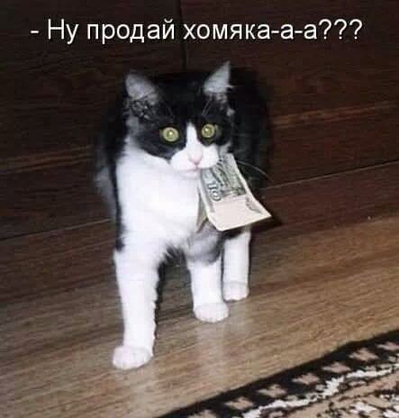 В этом мире всё решают деньги всё таки. 