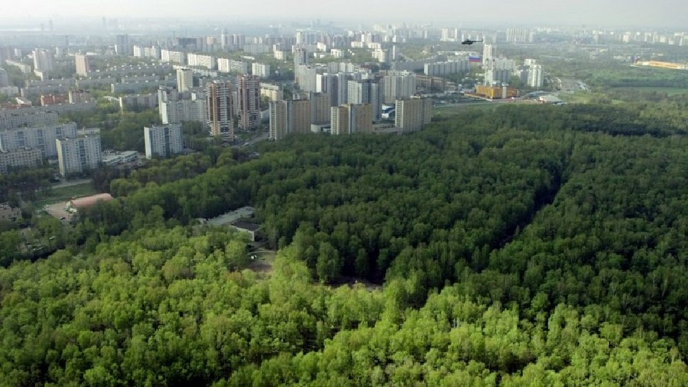 Зеленый пояс" вокруг города. Фото с сайта park72.ru 
