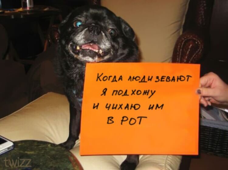 Фото: Интернет