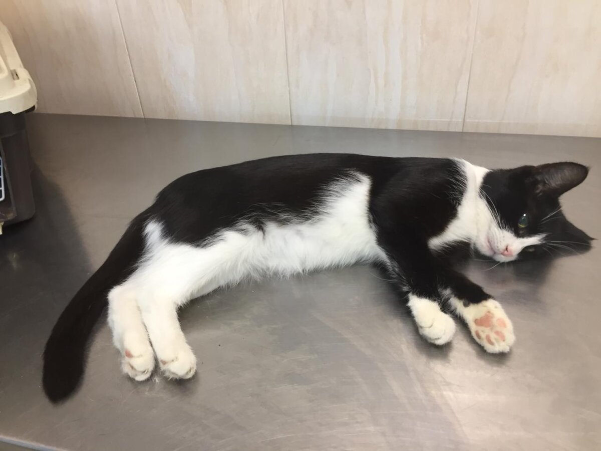 Картинка из интернета