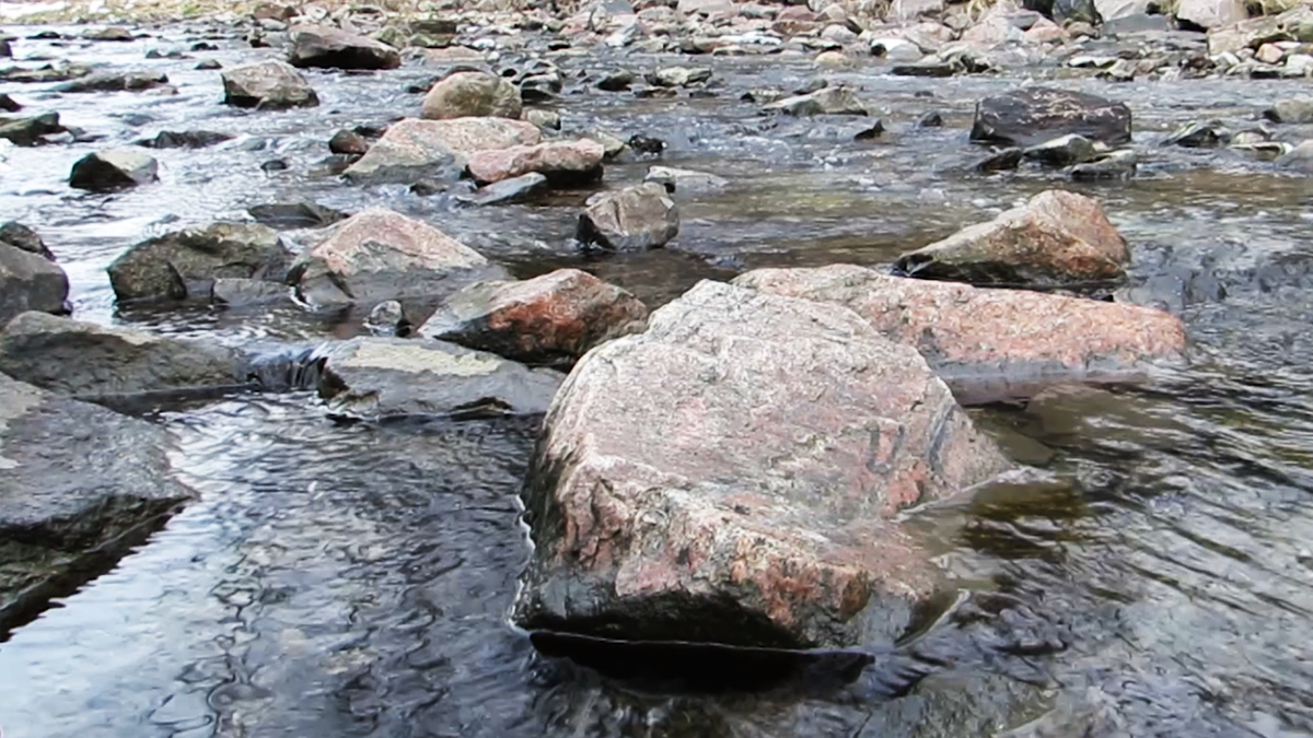 Реку реку звучание. Каменистые реки в СПБ. Молочная река в каменистой земле.