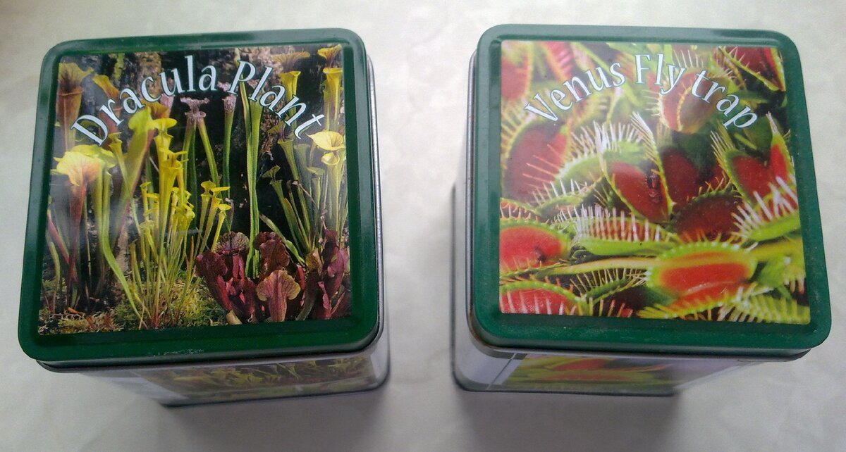 Так выглядят жестяные баночки наборов