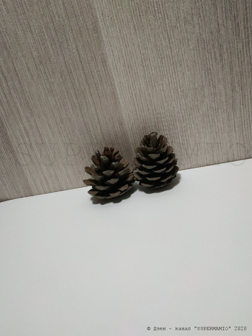 © Дзен - канал "SUPERMAMIO" (фото автора) 