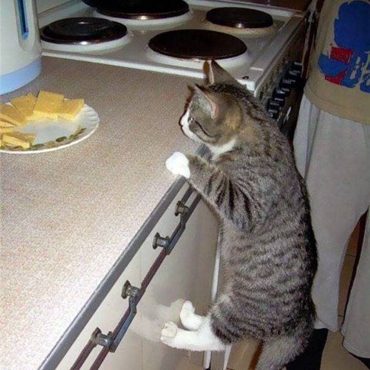 Фото из открытого источника с сайта https://www.google.com/search?