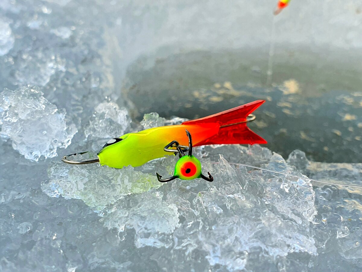 Карась утром. Суеверия рыбаков. Спокойной ночи рыбалка. Рыба демотиватор. Коты на рыбалке.