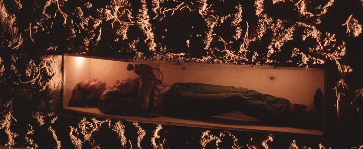 картинка взята из открытых источников