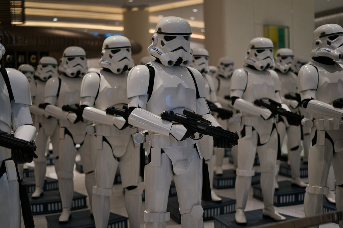 Они готовы. Фото: unsplash.com