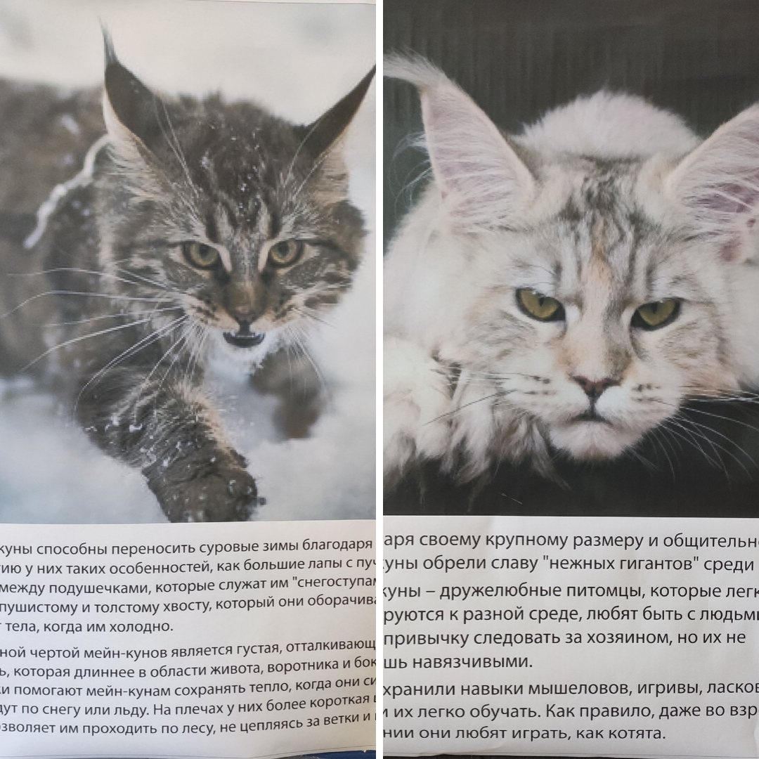 Плакаты с выставки.