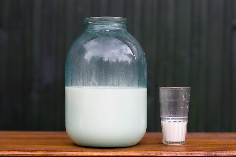 Молоко  коровье. Фото автора.