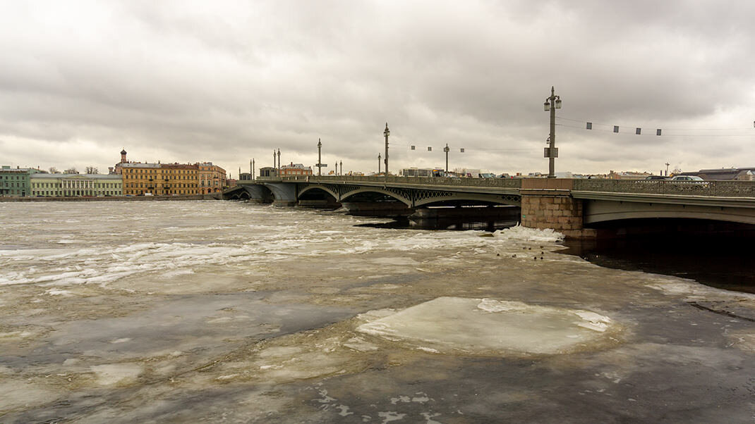 Архитектор Благовещенского моста в Санкт-Петербурге. Благовещенский мост. В создании какого памятника принимал участие Трезини.