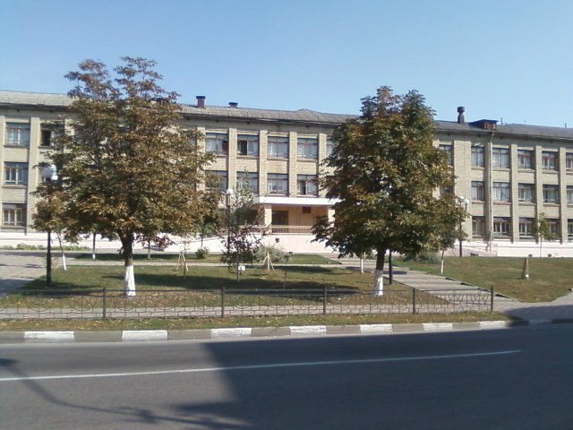 Моя первая школа тоже стала для меня в какой-то мере школой жизни