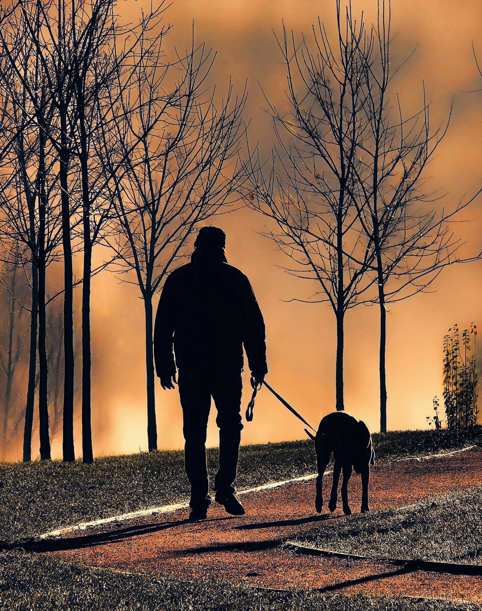 нас объединяет любовь к собакам