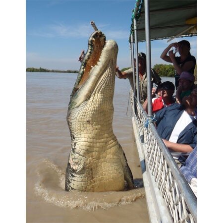 Прикормка, ради фото. 