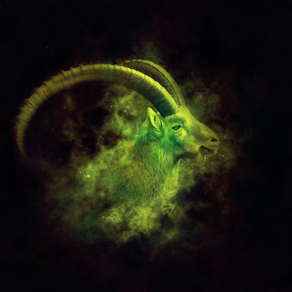 Козерог на 20 декабря. Козерог 22 декабря. Козерог 22 декабря. Любовь тельца. Счастливый цвет на 19 01 2022 козерог.