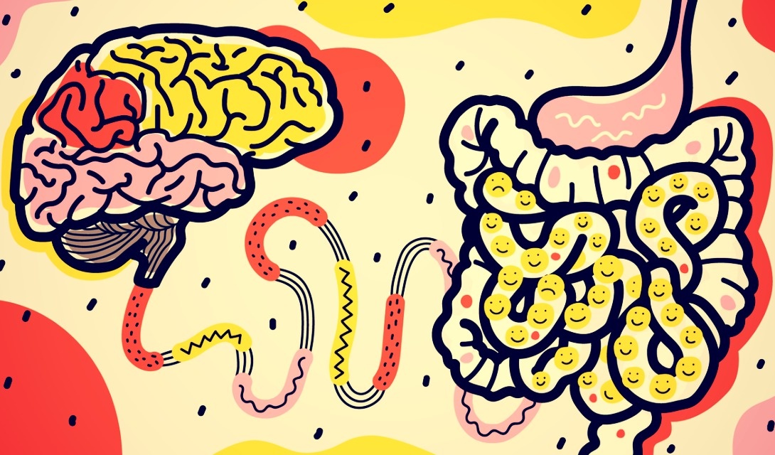 питание органов от здорового кишечника