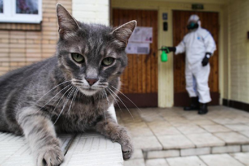  © ТАСС/Сергей Бобылев