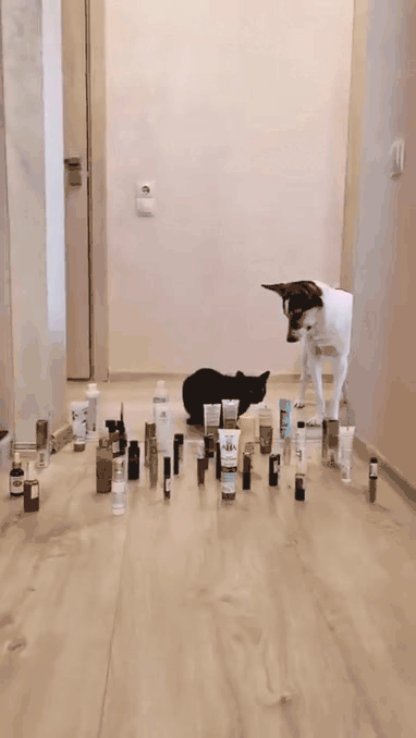 Нажми на картинку, чтобы посмотреть видео. Источник: Ютуб.