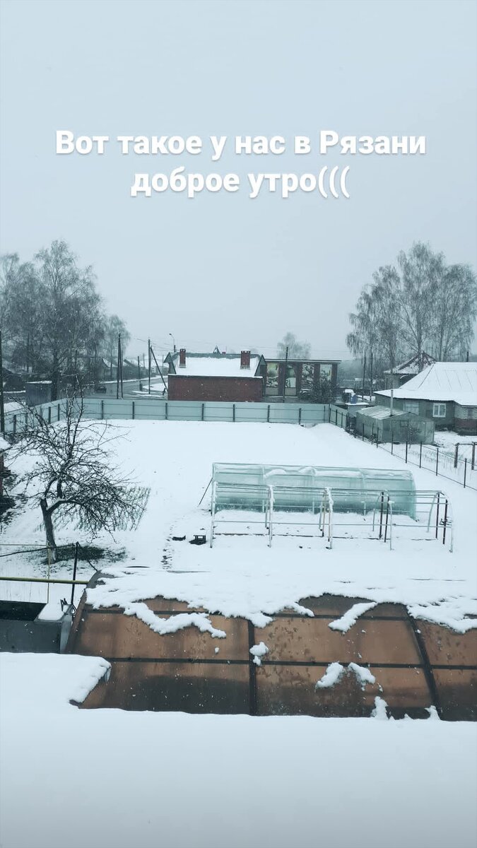 Фото сделано 15 апреля 2020 г.