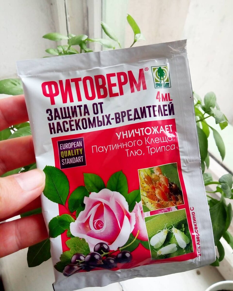 Фитоверм (фото с instagram)