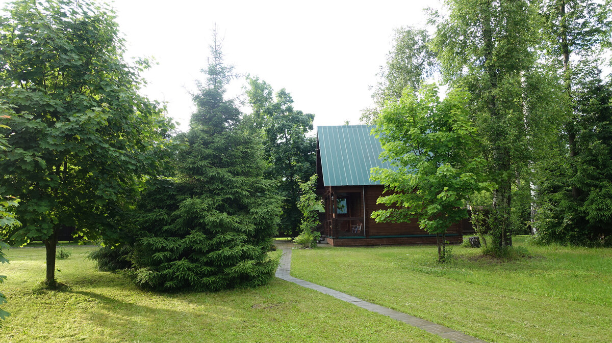 Клумбы на газоне на даче (46 фото)