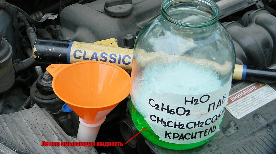 фотография из свободных источников интернета