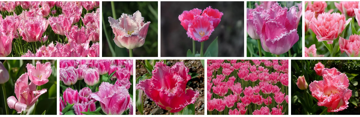 попробуйте теперь так догадаться