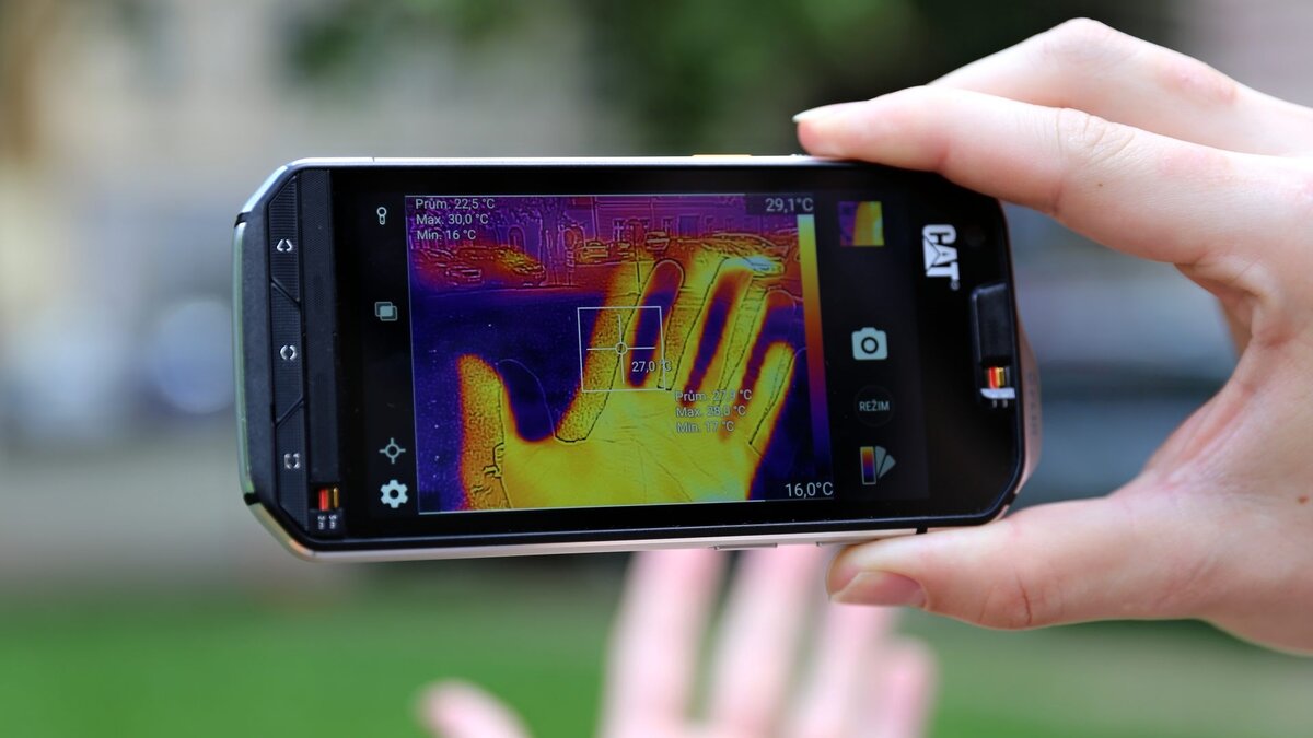                                                     Картинка из общего доступа