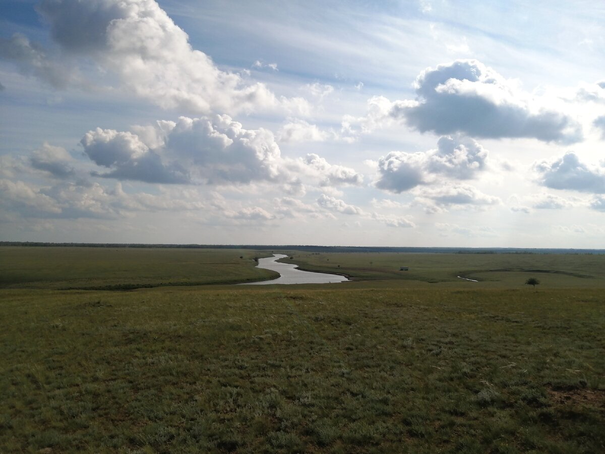 Весна 2020. Долина реки Россошь, недалеко от хутора Карповского Цимлянского района.