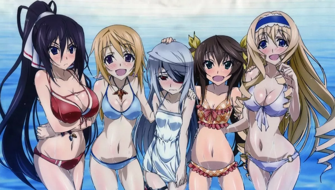 Фото из аниме "Infinite Stratos".