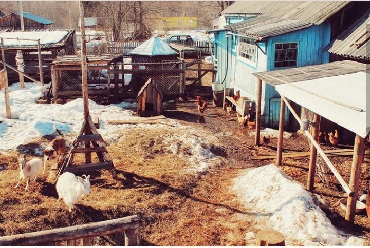 Наш двор. Весна