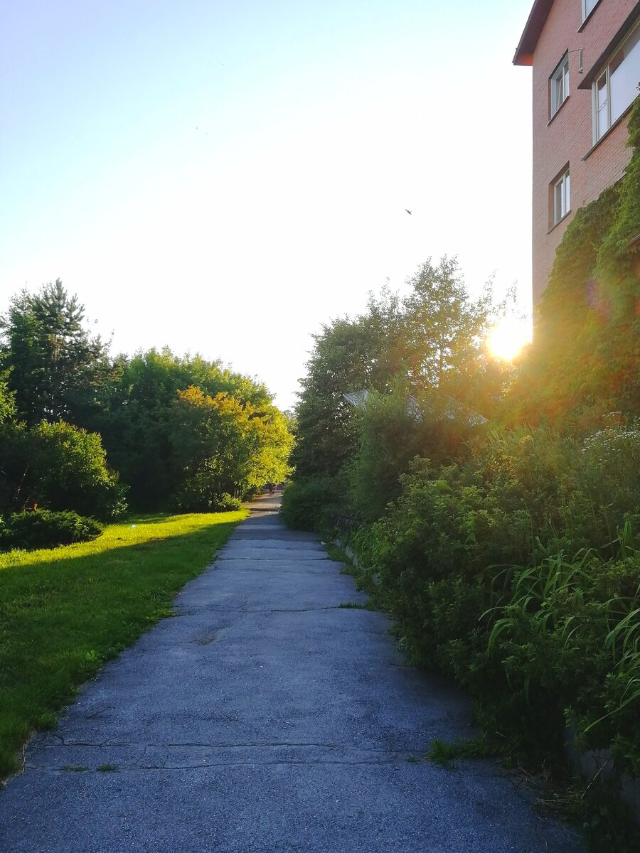 Моя неправильная дорога домой. 