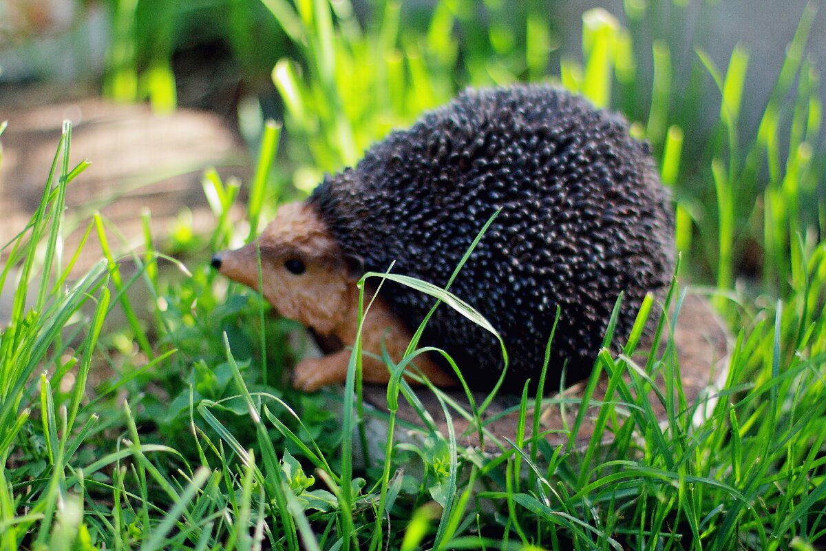 Фото из личного архива