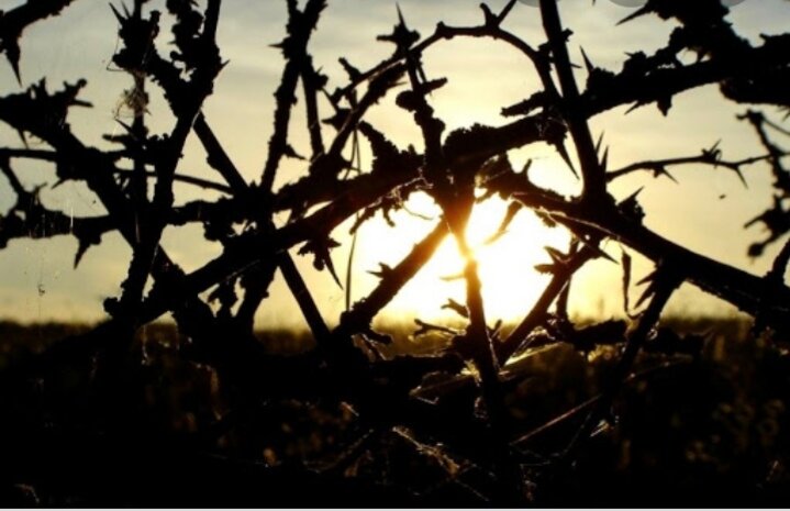 Коснулся 👑вирус вашей семьи или нет, последствия его распространения коснулись всех