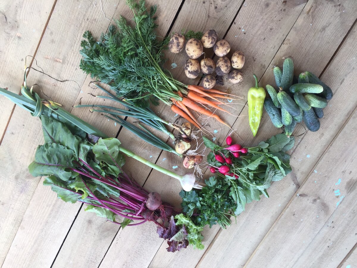 Все фото мои личные 