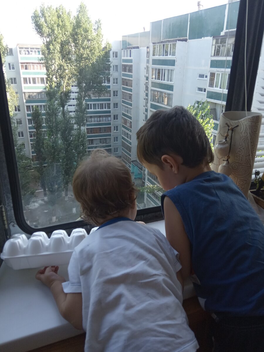 Дети очень любят смотреть в окно. Стоит ли им запрещать это делать?